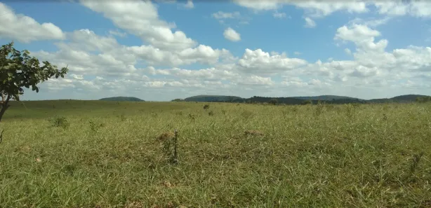 Lote/Terreno à venda, 20000m² no , Cordisburgo