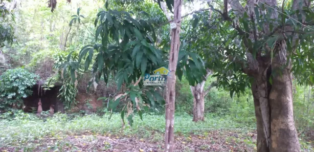Fazenda/Sítio com 3 Quartos à venda, 120000m² no , José de Freitas