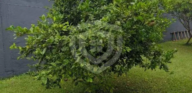 Fazenda/Sítio à venda, 1000m² no Parque Fazenda Bandeirantes, Piratininga