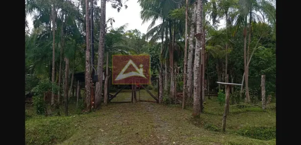 Fazenda/Sítio com 3 Quartos à venda, 100m² no , Guaraqueçaba