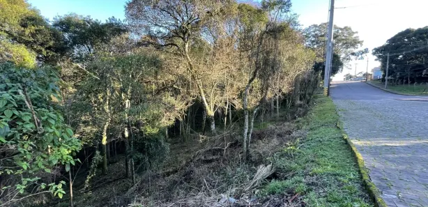 Lote/Terreno à venda, 389m² no Cruzeiro, Caxias do Sul