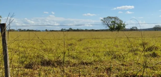 Fazenda/Sítio à venda no , Padre Bernardo