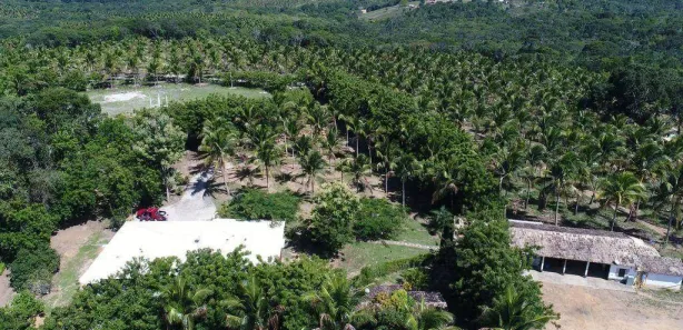 Fazenda/Sítio à venda, 685000m² no Sauípe, 