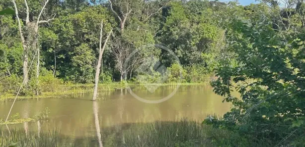 Lote/Terreno à venda, 12187m² no Residencial Santa Efigênia, Goiânia
