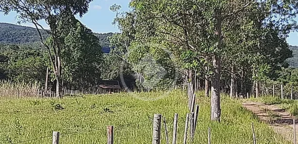 Fazenda/Sítio à venda, 200m² no , 