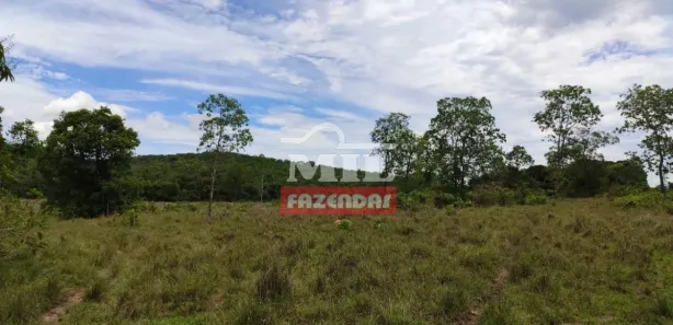 Fazenda/Sítio à venda, 2468000m² no , Jaraguá