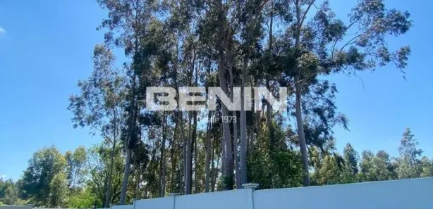 Lote/Terreno à venda, 496m² no Floresta, Nova Santa Rita