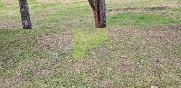 Fazenda/Sítio com 1 Quarto à venda, 1400m² no Centro, Casimiro de Abreu