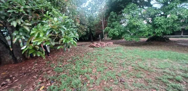 Fazenda/Sítio com 2 Quartos à venda, 2400m² no , Brasília