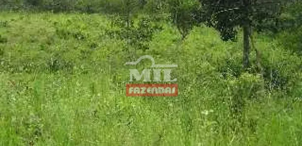 Fazenda/Sítio à venda, 185m² no , Jaraguá