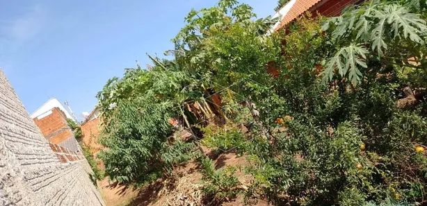 Lote/Terreno à venda, 250m² no Dois Córregos, Dois Córregos