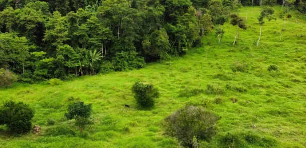Lote/Terreno à venda, 4500m² no Comunidade Urbana de Jaboti, Guarapari