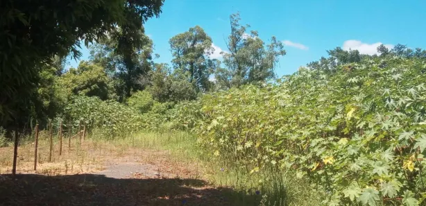 Lote/Terreno à venda, 350m² no Parque Amador, Esteio