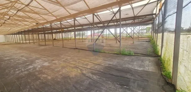 para alugar, 2000m² no , Artur Nogueira