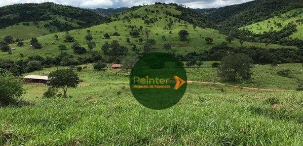Fazenda/Sítio à venda, 4200000m² no , São Luíz do Norte