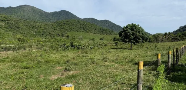 Fazenda/Sítio com 4 Quartos à venda, 490000m² no , Casimiro de Abreu