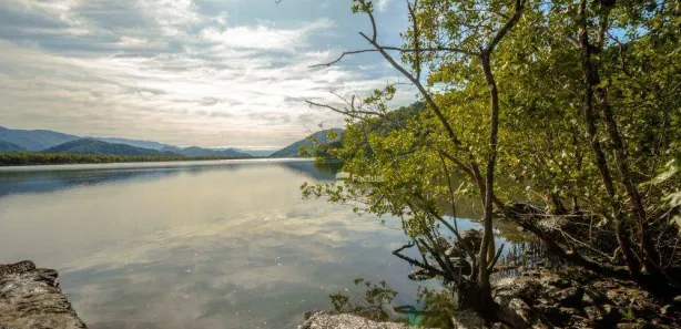 Lote/Terreno à venda, 40435m² no Balneario Praia do Perequê, Guarujá