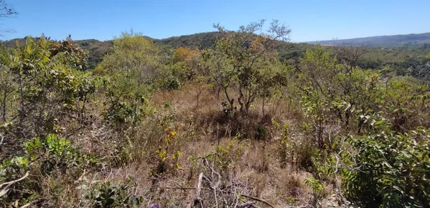 Fazenda/Sítio à venda, 20000m² no , Brasília