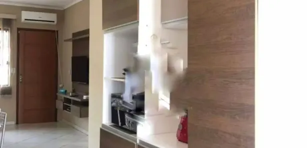 Sobrado com 2 Quartos para alugar, 88m² no Diva Lessa de Jesus, Gravataí