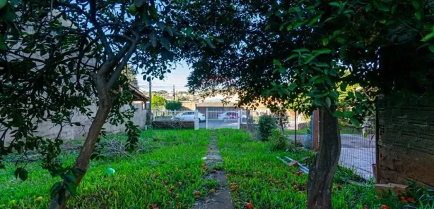 Lote/Terreno à venda, 202m² no Jardim do Bosque, Cachoeirinha