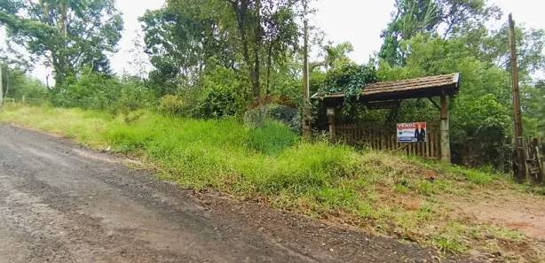 Lote/Terreno à venda, 5000m² no , Pardinho