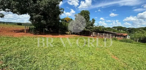 Fazenda/Sítio com 5 Quartos à venda, 60000m² no , Taquaral de Goiás