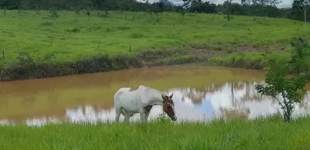 Fazenda/Sítio à venda, 600000m² no Área Rural do Paranoá, Brasília
