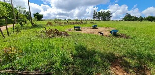 Fazenda/Sítio com 1 Quarto à venda, 20000m² no Brazlândia, Brasília