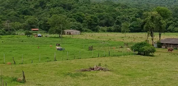 Fazenda/Sítio à venda, 28m² no Brazlândia, Brasília