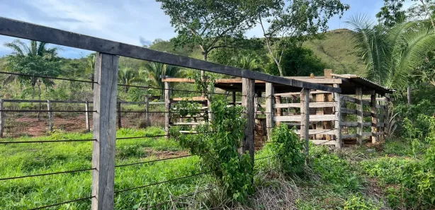 Fazenda/Sítio com 3 Quartos à venda, 3000000m² no , Padre Bernardo