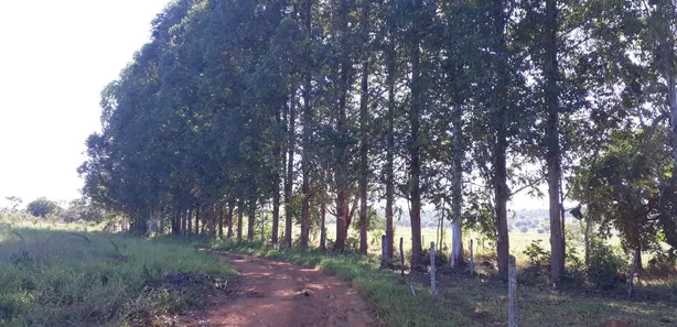 Fazenda/Sítio à venda, 20000m² no , Araçaí