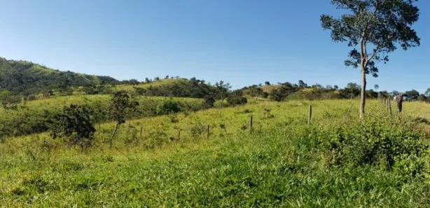Fazenda/Sítio com 4 Quartos à venda, 550000m² no Padre Bernardo, Padre Bernardo
