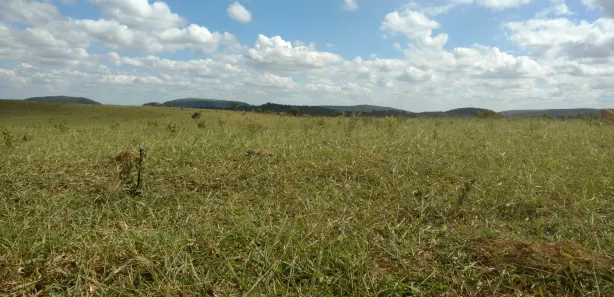 Lote/Terreno à venda, 20130m² no , Cordisburgo