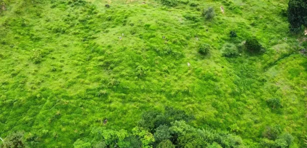 Lote/Terreno à venda, 4500m² no Comunidade Urbana de Jaboti, Guarapari