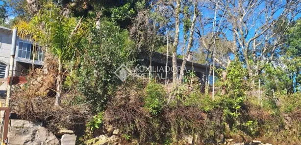 Lote/Terreno à venda, 3000m² no Cruzeiro, Caxias do Sul