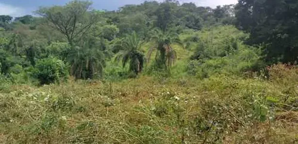 Fazenda/Sítio com 2 Quartos à venda, 100m² no , Itaberaí