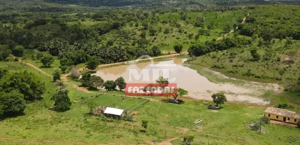 Fazenda/Sítio com 4 Quartos à venda, 500m² no , Goiás