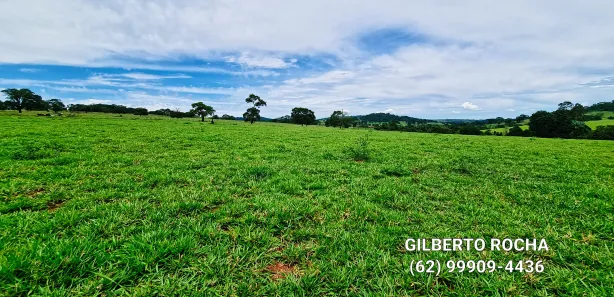 Fazenda/Sítio à venda, 968000m² no Área Rural, Goianira