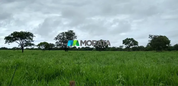 Fazenda/Sítio com 1 Quarto à venda, 620m² no , Morro da Garça