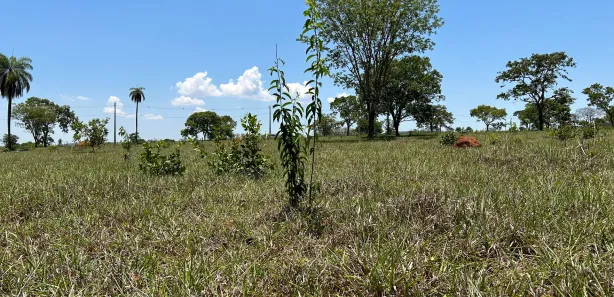 Lote/Terreno à venda, 1000m² no , Inhaúma