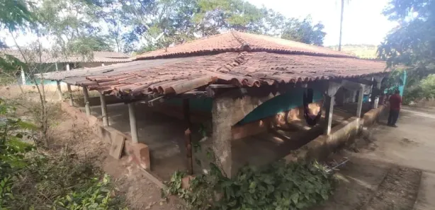 Fazenda/Sítio com 4 Quartos à venda, 20000m² no Bonsucesso, Brasília