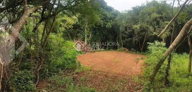 Lote/Terreno à venda, 600m² no Travessão, Dois Irmãos