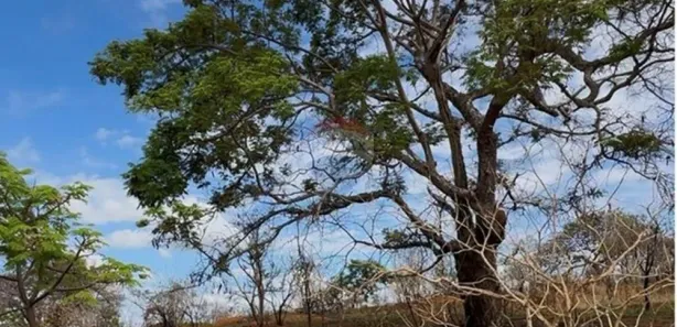 Lote/Terreno à venda, 26485m² no Lagoa Mansões, Lagoa Santa