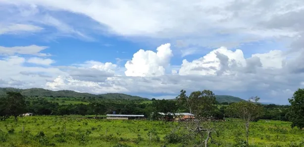 Fazenda/Sítio à venda, 30m² no , Buritis