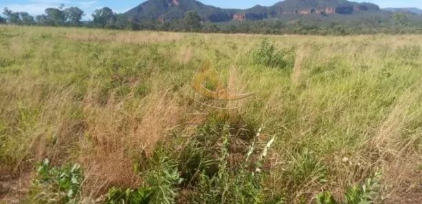 Fazenda/Sítio com 2 Quartos à venda, 22215600m² no Zona Rural, Ponte Alta do Bom Jesus