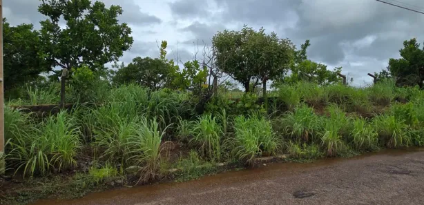 Lote/Terreno à venda, 10231m² no Centro (Taquaralto), Palmas