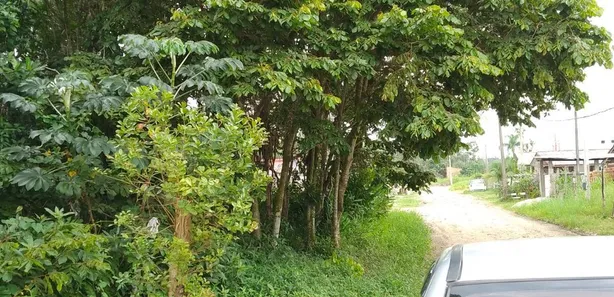 Lote/Terreno à venda, 374m² no , Matinhos