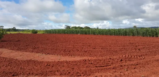 Fazenda/Sítio à venda, 2000m² no Área Rural, Goianira