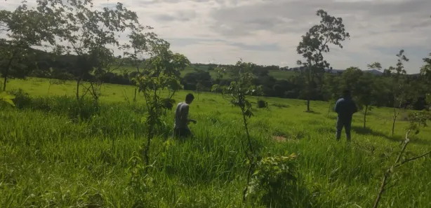 Fazenda/Sítio à venda, 580800m² no Centro, Jaraguá