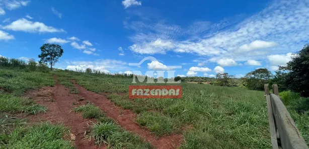 Fazenda/Sítio à venda, 173200m² no , Terezópolis de Goiás